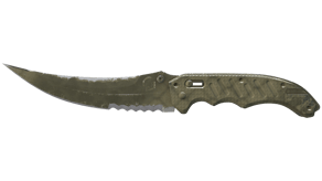 Safari Mesh image