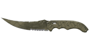 Safari Mesh image