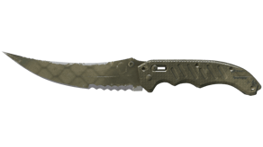 Safari Mesh image