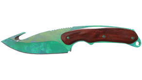 Gamma Doppler Phase 2 image