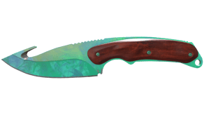 Gamma Doppler Phase 2 image