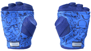 Cobalt Skulls image