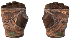 Constrictor image