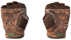 Constrictor image