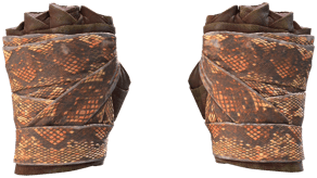 Constrictor image