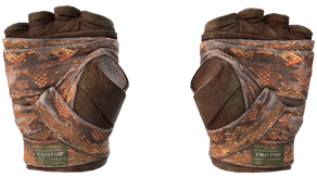 Constrictor image