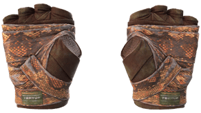 Constrictor image