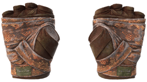 Constrictor image