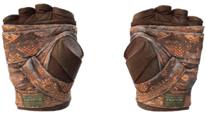 Constrictor image