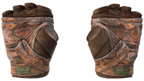 Constrictor image
