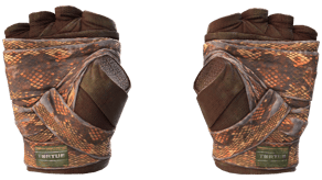 Constrictor image