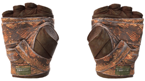 Constrictor image