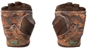 Constrictor image