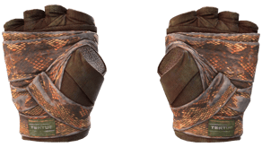 Constrictor image