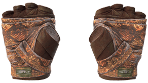 Constrictor image
