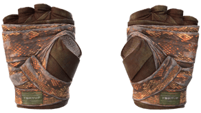 Constrictor image