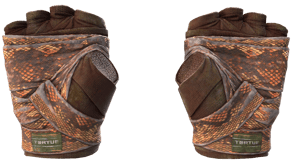 Constrictor image