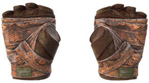 Constrictor image