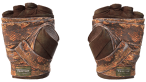 Constrictor image