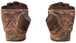Constrictor image
