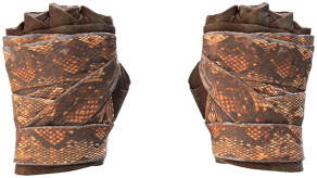 Constrictor image