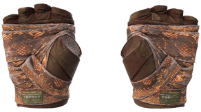 Constrictor image