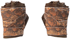 Constrictor image