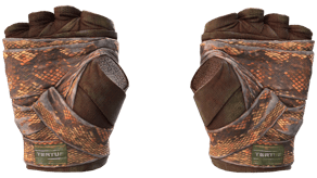 Constrictor image