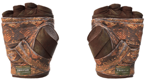 Constrictor image