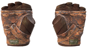 Constrictor image