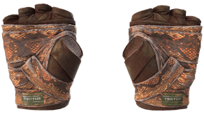 Constrictor image