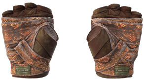 Constrictor image