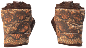 Constrictor image