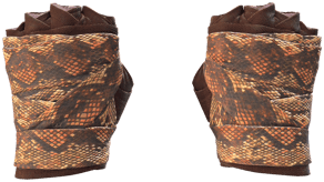 Constrictor image