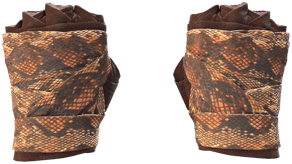 Constrictor image