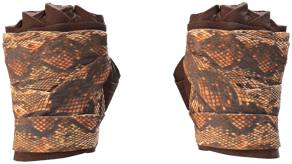 Constrictor image