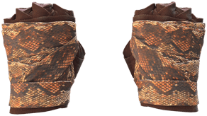 Constrictor image