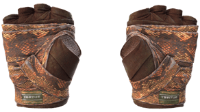 Constrictor image