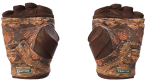 Constrictor image