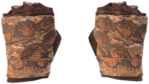 Constrictor image