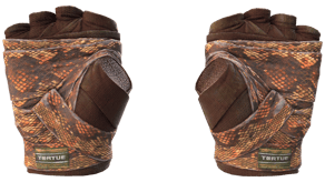 Constrictor image