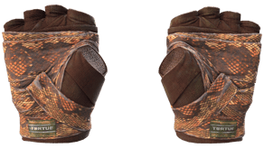 Constrictor image