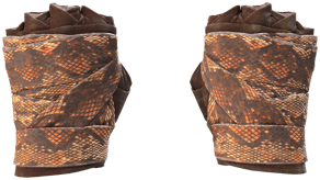 Constrictor image