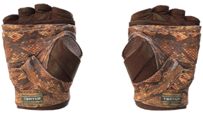 Constrictor image