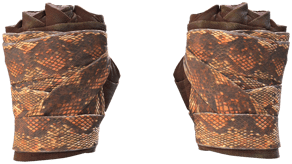 Constrictor image