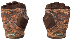 Constrictor image