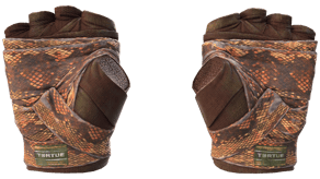 Constrictor image