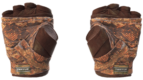 Constrictor image