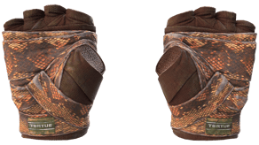 Constrictor image