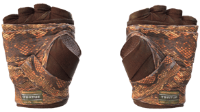 Constrictor image